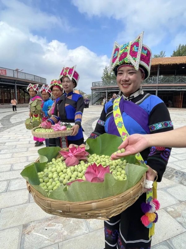 涨停吧 援滇县长讲故事｜丘北：厚植生态底色 绘就绿美画卷