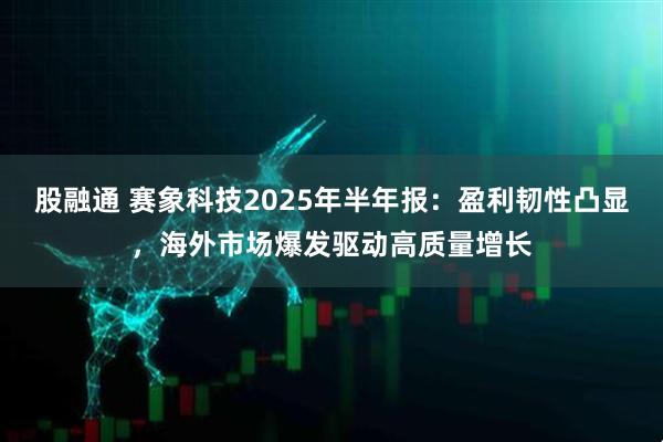股融通 赛象科技2025年半年报：盈利韧性凸显，海外市场爆发驱动高质量增长